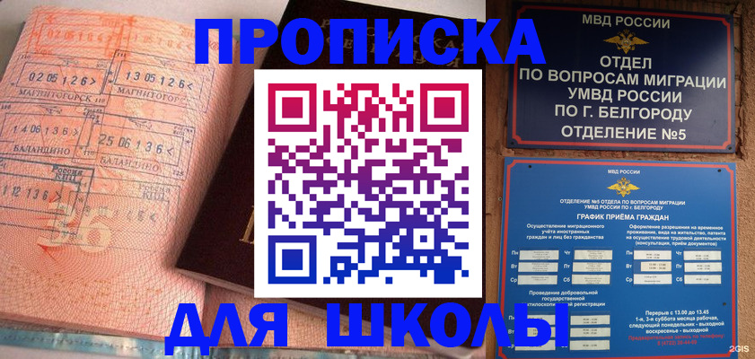 прописка иностранных граждан в Заринске